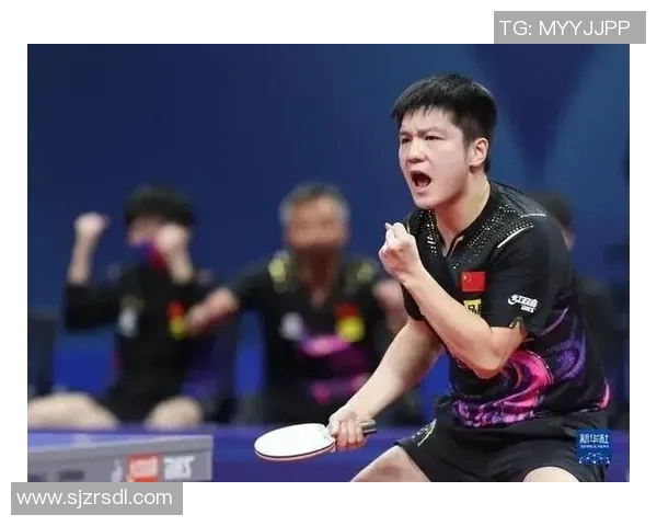 深圳乒乓球队的奋斗与荣耀：世界锦标赛背后的故事与成就