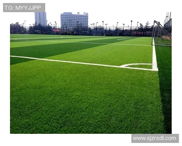 探索天然足球的魅力与生态价值让我们重新认识这项绿色运动的未来发展